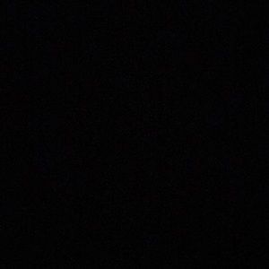 Meet your Posher, Damondria